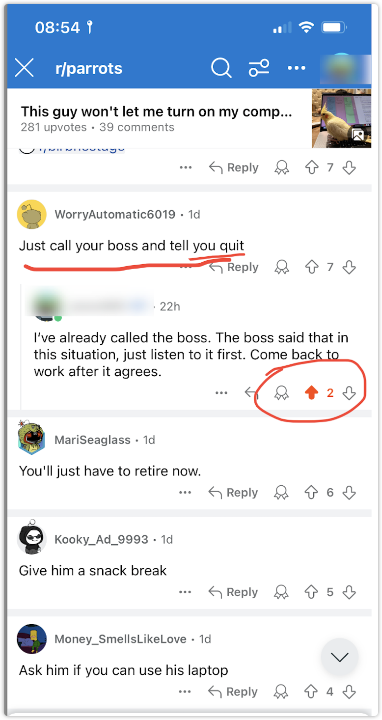 Reddit Comment Karma is not negative